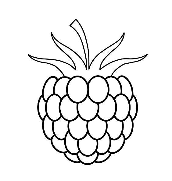 水果蔬菜简笔画 水果蔬菜简笔画图片大全