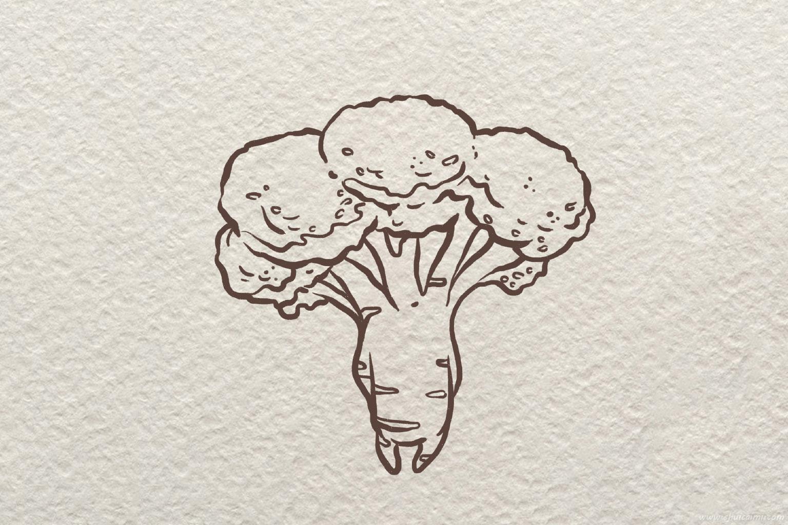 可爱的卡通西兰花简笔画绘画上色教程