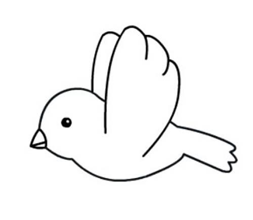 飞鸟简笔画 飞鸟简笔画图片大全