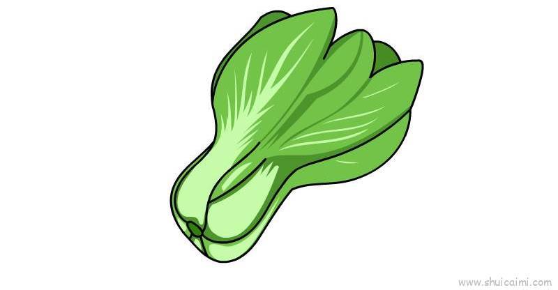 青菜儿童画怎么画 青菜简笔画简单又好看