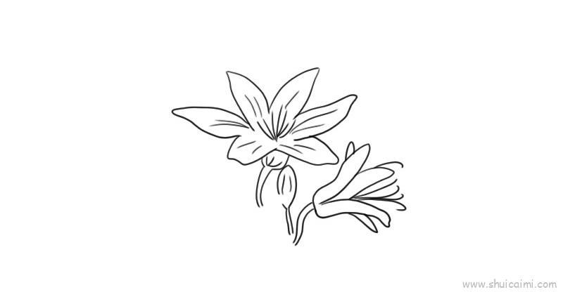 百合花儿童画怎么画 百合花简笔画简单又好看