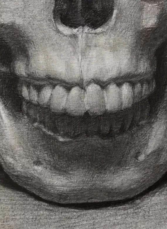 头骨素描画 头骨素描画画步骤
