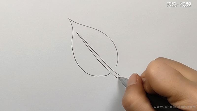 树叶简笔画怎么画 树叶简笔画简单又好看