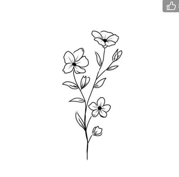 花卉简笔画图片大全 花卉简笔画图片大全大图彩色