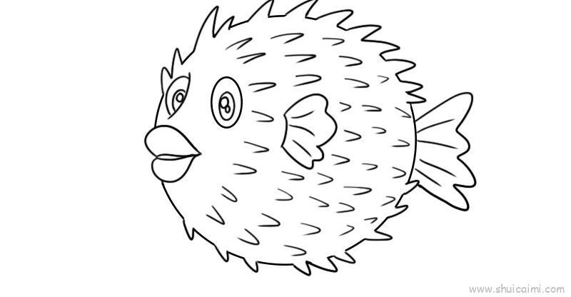 刺豚儿童画怎么画 刺豚简笔画步骤