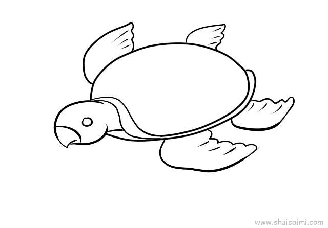 海龟儿童画怎么画 海龟简笔画图片大全