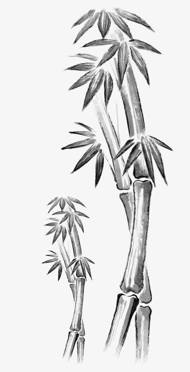 竹子简笔画 竹子简笔画好看又简单