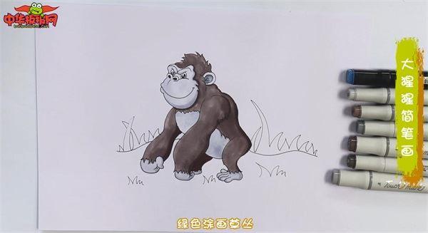 大猩猩怎么画 大猩猩简笔画漂亮卡通