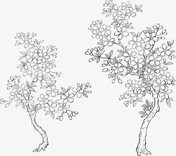 简笔画樱桃树绘画 简笔画的樱桃树