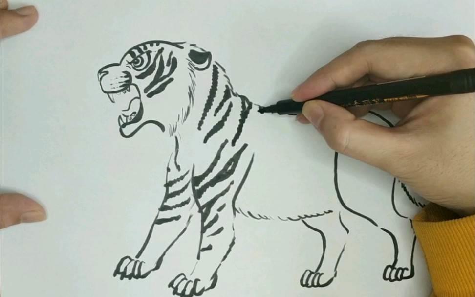 老虎的简笔画 老虎的简笔画凶残霸气