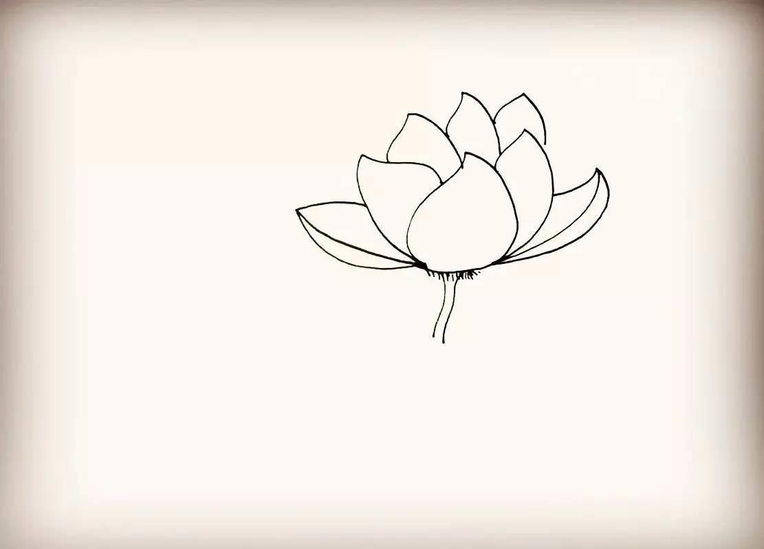 莲花简笔画 莲花简笔画图片大全大图