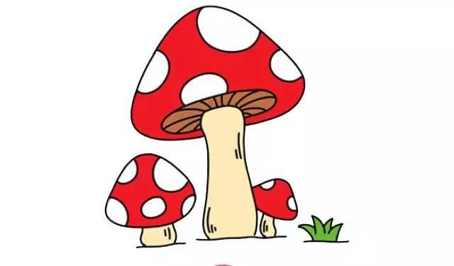 蘑菇简笔画 蘑菇简笔画简单又可爱