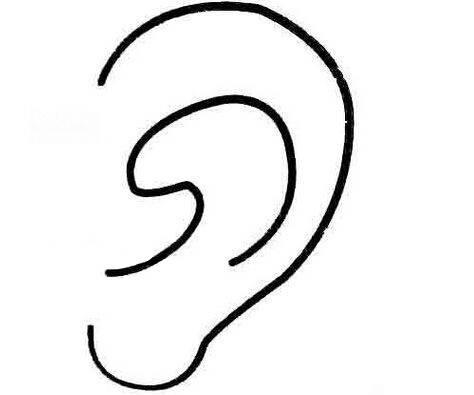 耳朵简笔画 耳朵简笔画儿童简笔画