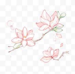 玉兰花简笔画图片大全 玉兰花简笔画图片大全彩色