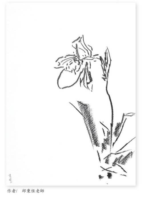 国画简笔画图片大全 国画简笔画图片大全简单