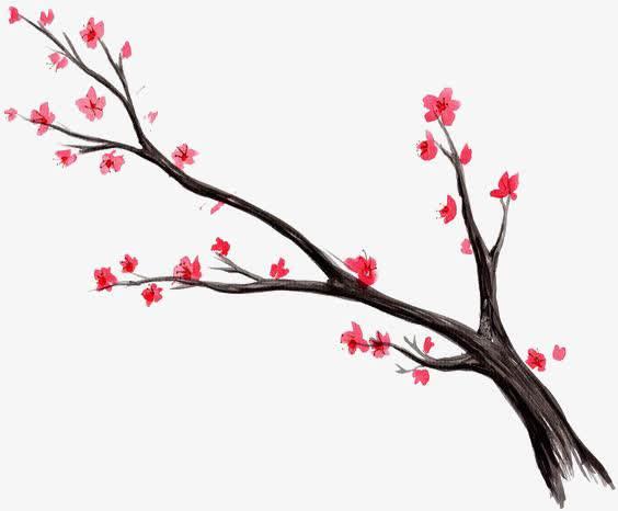 桃花简笔画 桃花简笔画简单又好看