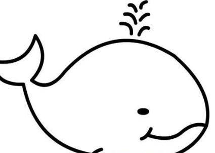 蓝鲸简笔画 蓝鲸简笔画图片大全