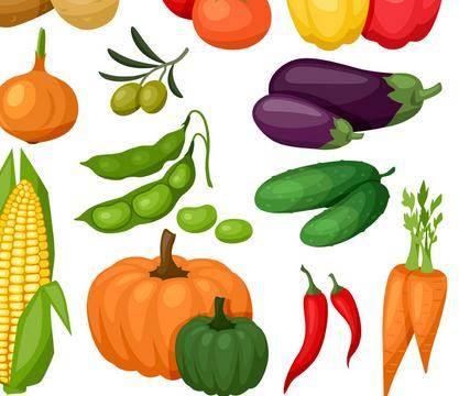 蔬菜简笔画 蔬菜简笔画儿童画