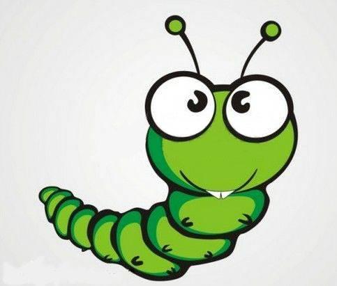 毛毛虫简笔画 毛毛虫简笔画带颜色