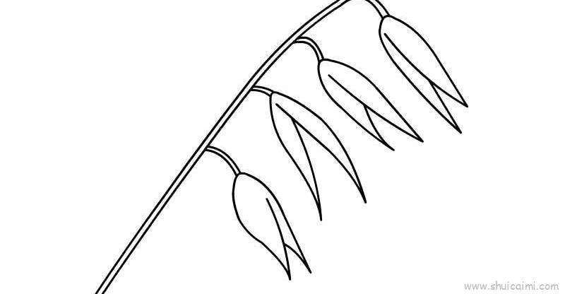 燕麦儿童画怎么画 燕麦简笔画顺序