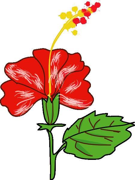 芙蓉花简笔画 芙蓉花简笔画简单