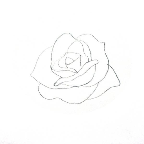 玫瑰花图片简笔画 玫瑰花图片简笔画手绘