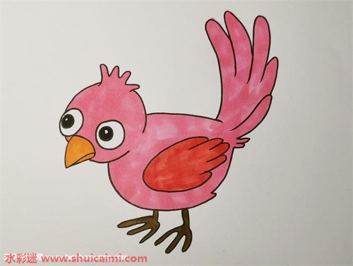 小鸟怎么画 小鸟简笔画步骤图