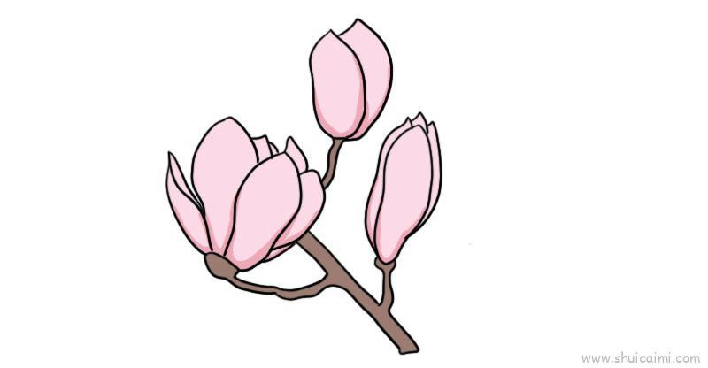 玉兰花儿童画怎么画 玉兰花简笔画简单又好看