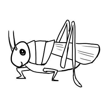 蚂蚱简笔画 蚂蚱简笔画简单又漂亮