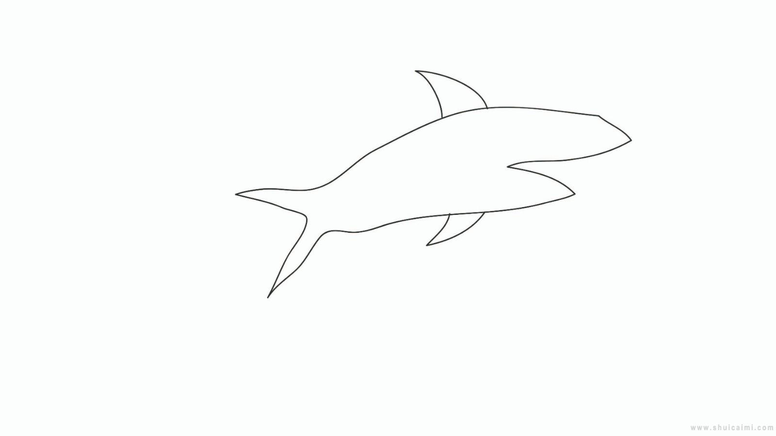 大鲨鱼简笔画怎么画 大鲨鱼简笔画顺序