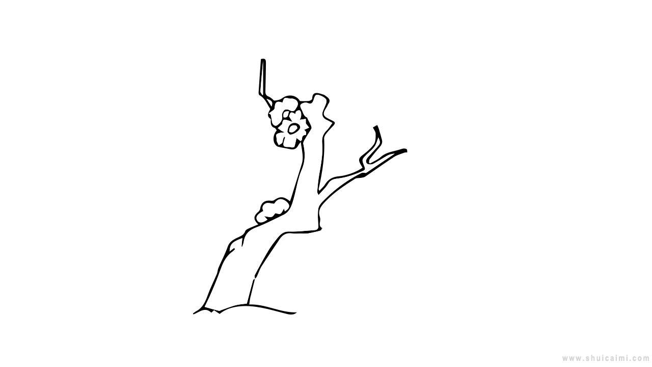 梅树简笔画怎么画 梅树简笔画简单