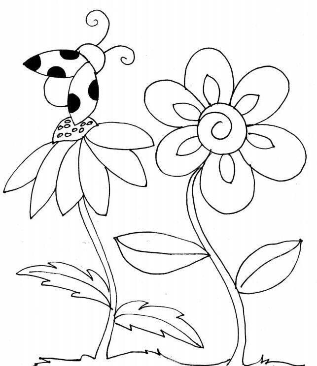 花简笔画 花简笔画罂粟花