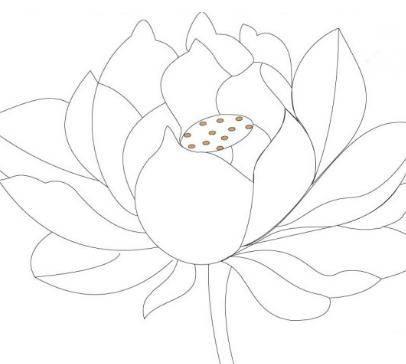 花的简笔画图片大全集 花的简笔画图片大全集可爱