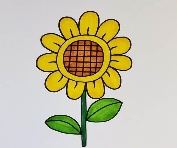 简笔画向日葵