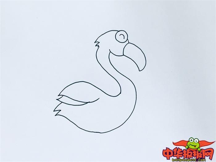 火烈鸟怎么画 火烈鸟简笔画画法