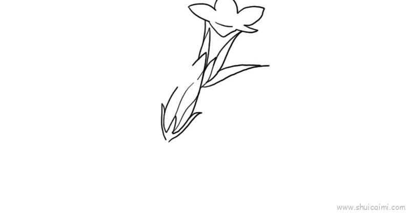 龙胆草花儿童画怎么画 龙胆草花简笔画画法