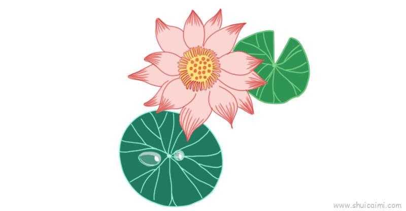睡莲儿童画怎么画 睡莲简笔画简单
