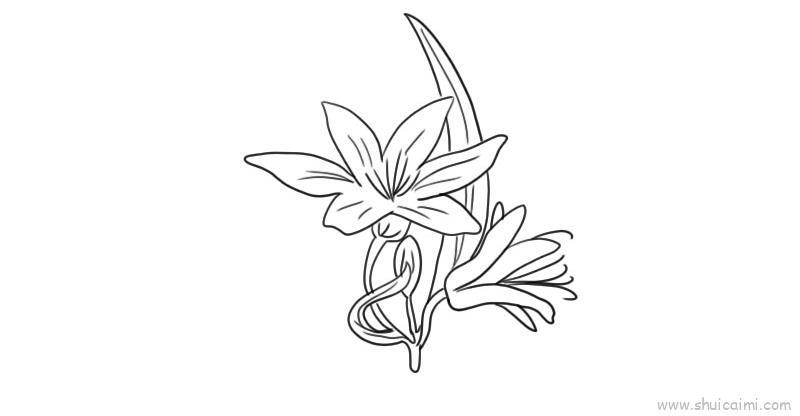 百合花儿童画怎么画 百合花简笔画简单又好看