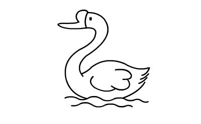 天鹅画法 简笔画_天鹅简单画