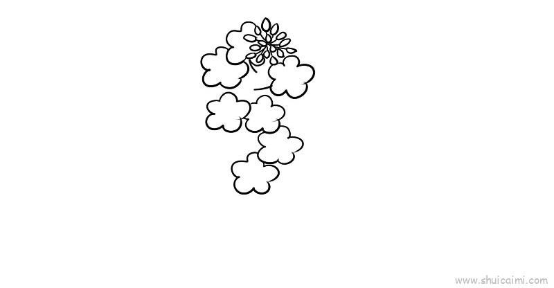 菜花儿童画怎么画 菜花简笔画好看