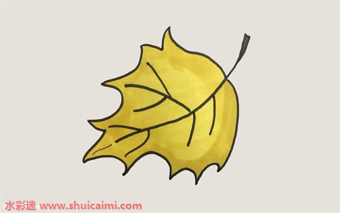 落叶怎么画 落叶简笔画简单又漂亮彩色