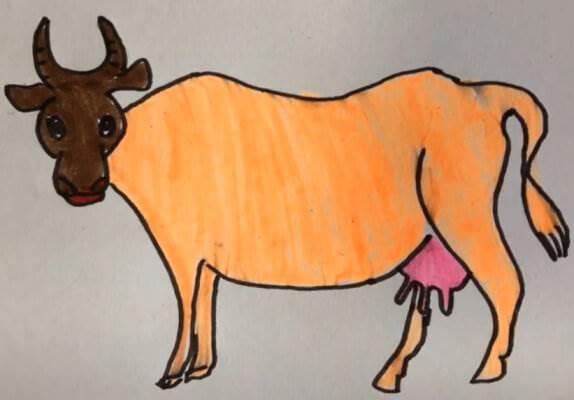 老牛简笔画 老牛简笔画彩色