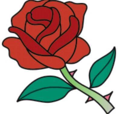 玫瑰花的简笔画 玫瑰花的简笔画一朵