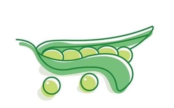 豌豆简笔画 豌豆简笔画怎么画