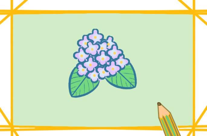 壮族绣球简笔画 壮族绣球简笔画怎么画