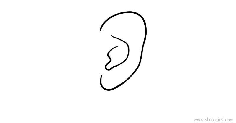 耳朵儿童画怎么画 耳朵简笔画图片