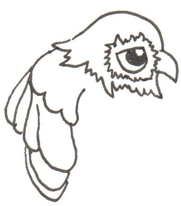 鹰的简笔画怎么画 鹰的简笔画图片