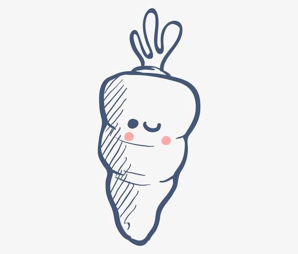 白萝卜简笔画 白萝卜简笔画图片
