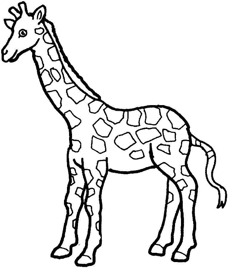 长颈鹿简笔画 长颈鹿简笔画彩色