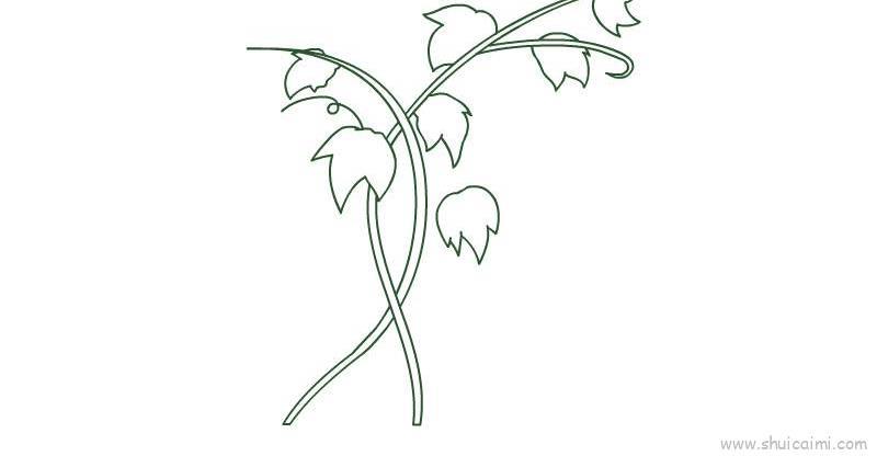 藤蔓儿童画怎么画 藤蔓简笔画图片